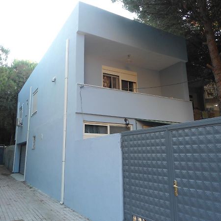 Vacation Home Dibra Velipojë 외부 사진